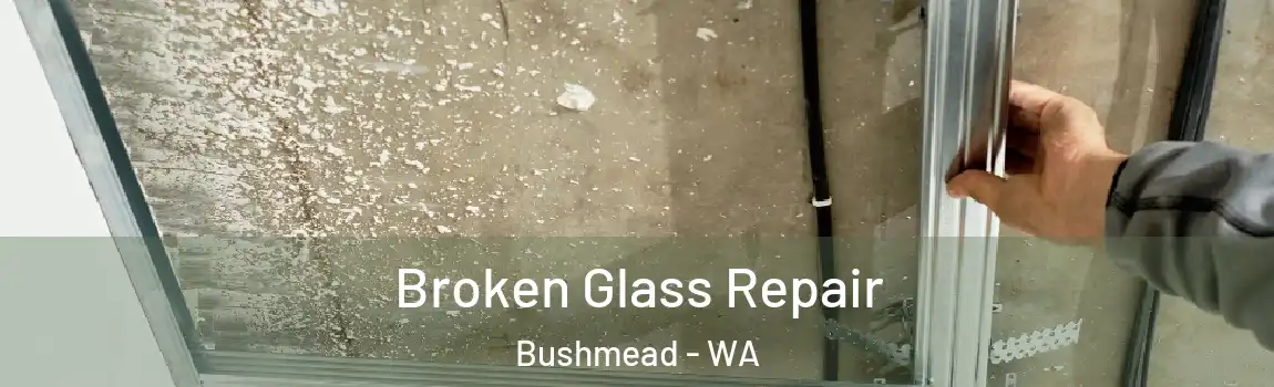 Broken Glass Repair Bushmead - WA