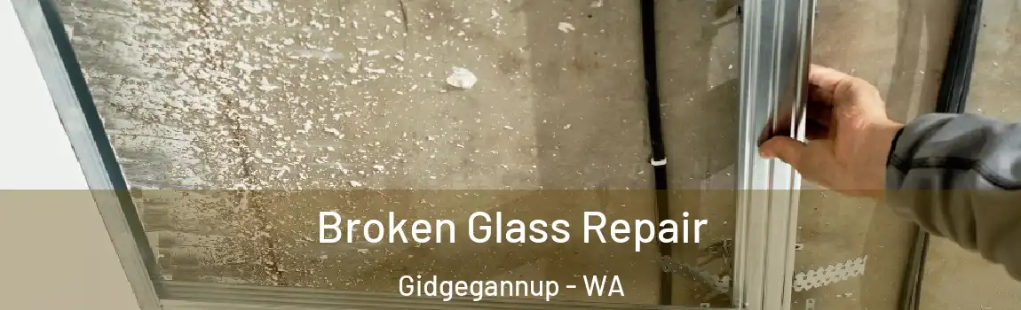 Broken Glass Repair Gidgegannup - WA
