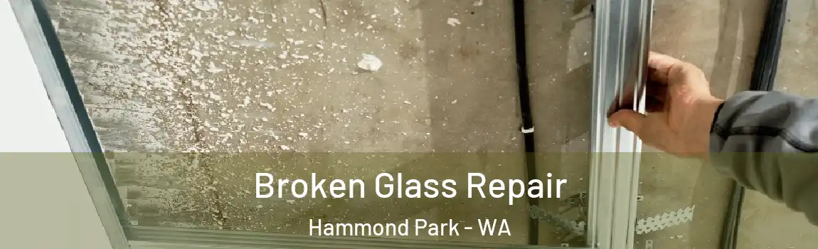 Broken Glass Repair Hammond Park - WA