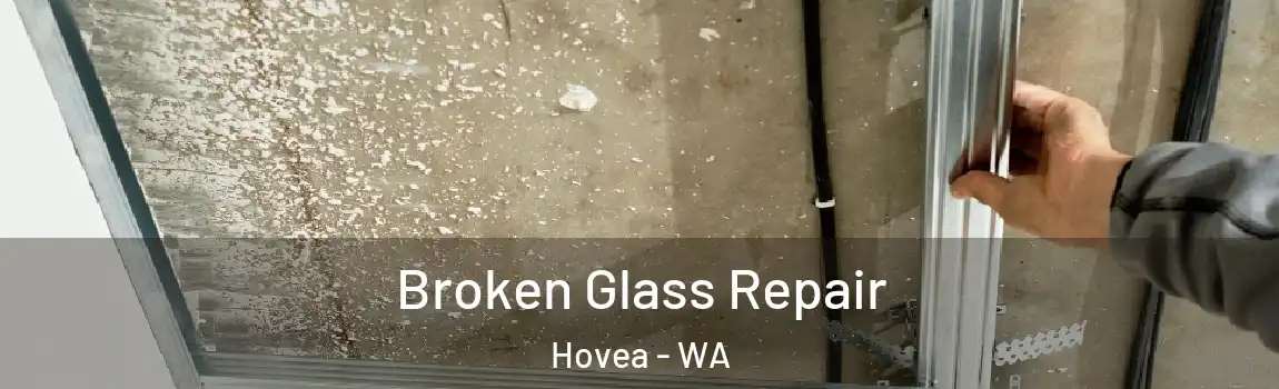 Broken Glass Repair Hovea - WA