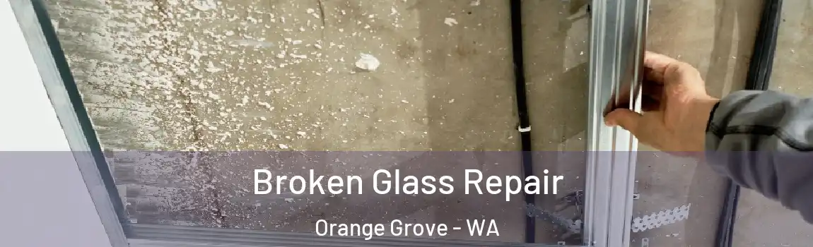 Broken Glass Repair Orange Grove - WA