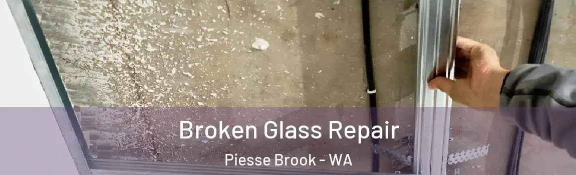 Broken Glass Repair Piesse Brook - WA