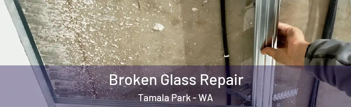 Broken Glass Repair Tamala Park - WA