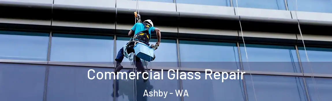 Commercial Glass Repair Ashby - WA