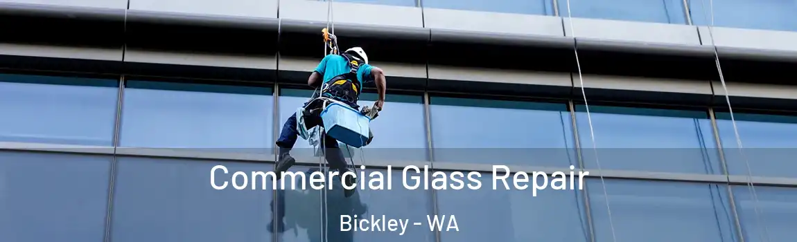 Commercial Glass Repair Bickley - WA