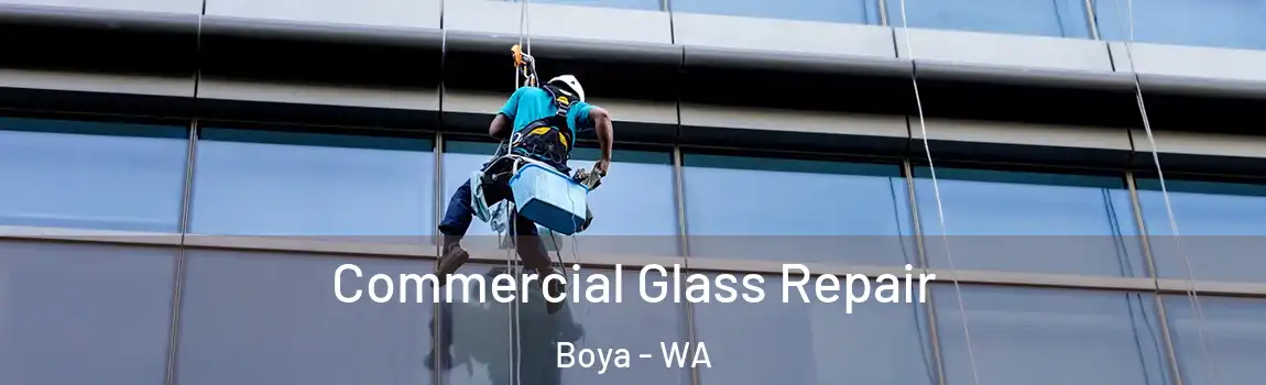 Commercial Glass Repair Boya - WA