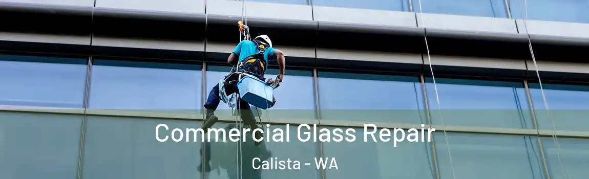 Commercial Glass Repair Calista - WA