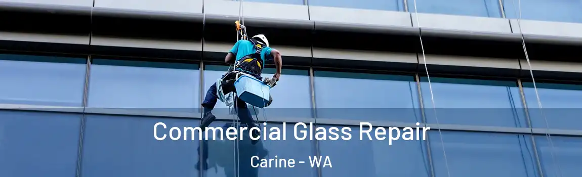 Commercial Glass Repair Carine - WA