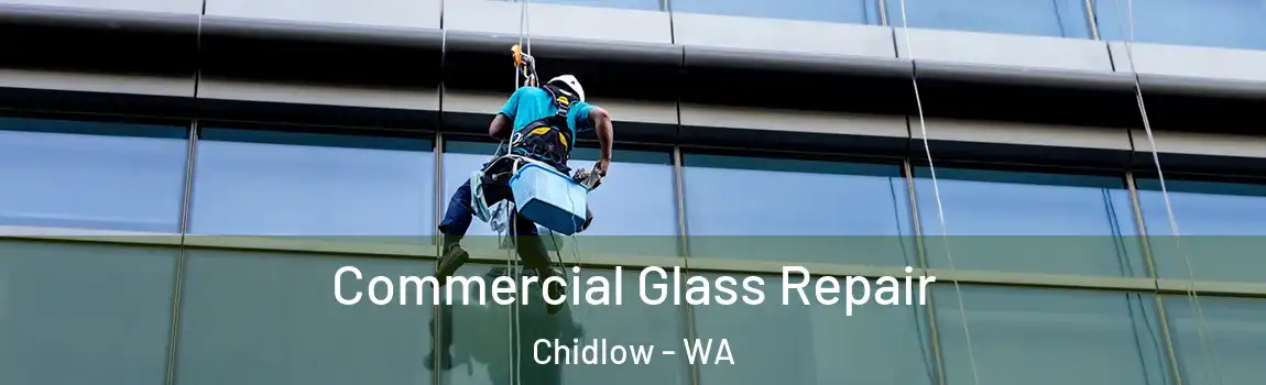Commercial Glass Repair Chidlow - WA