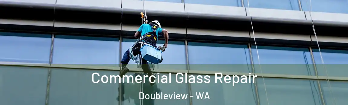 Commercial Glass Repair Doubleview - WA