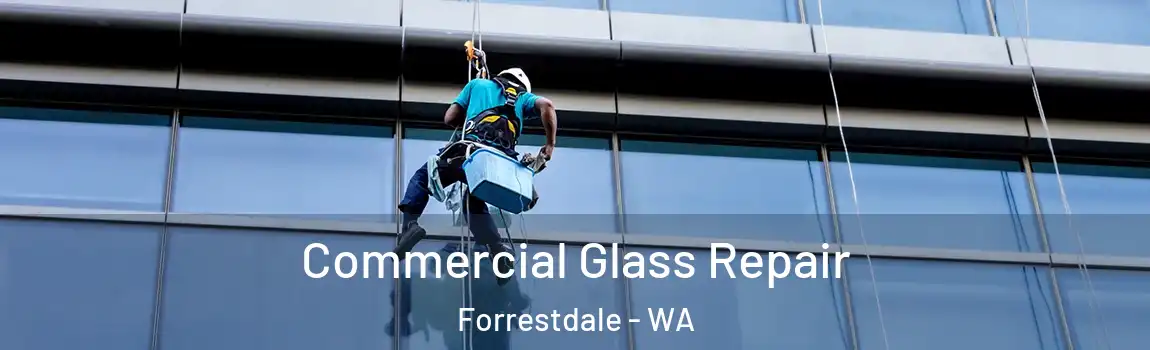 Commercial Glass Repair Forrestdale - WA