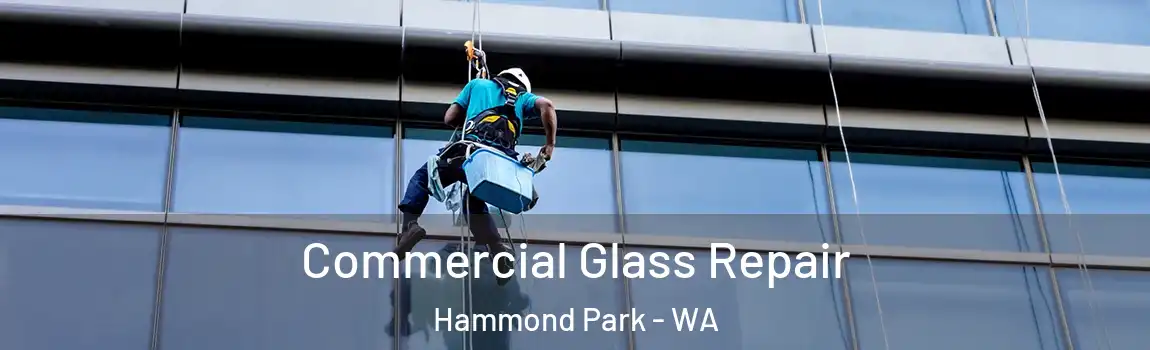 Commercial Glass Repair Hammond Park - WA
