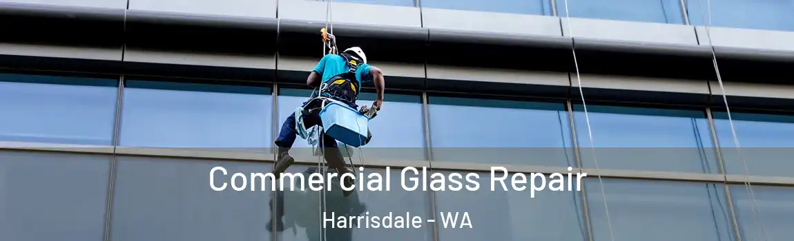 Commercial Glass Repair Harrisdale - WA