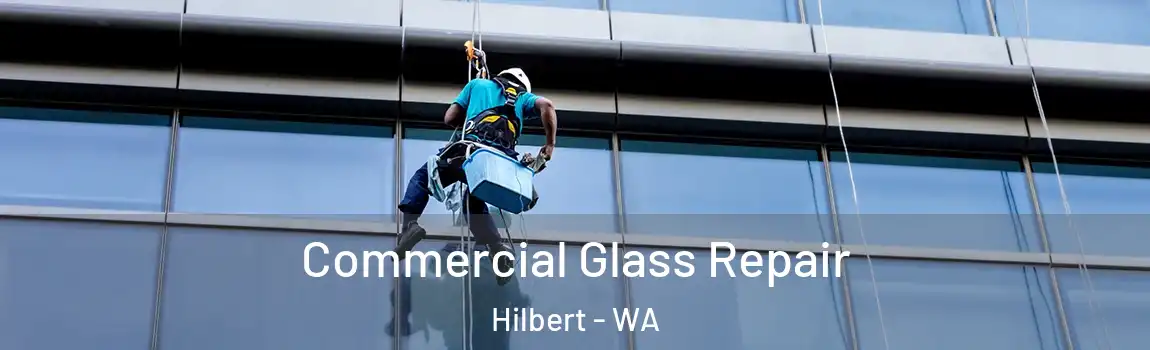 Commercial Glass Repair Hilbert - WA
