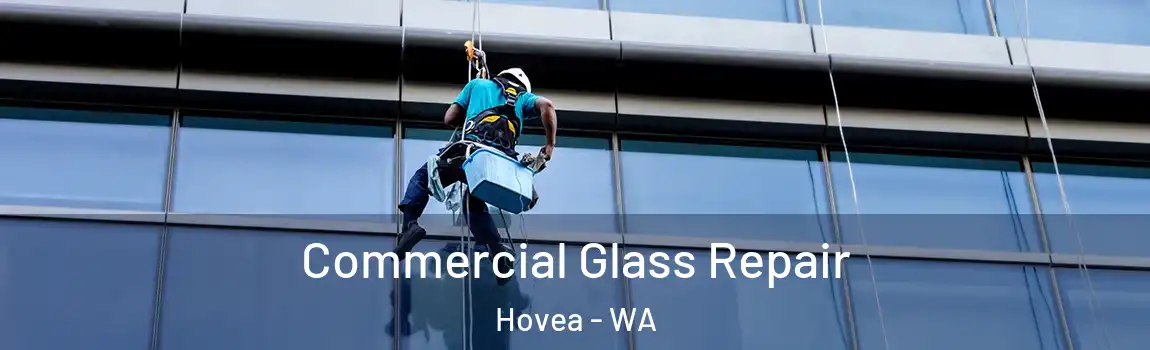 Commercial Glass Repair Hovea - WA