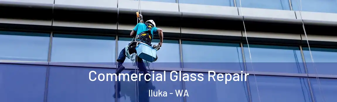 Commercial Glass Repair Iluka - WA