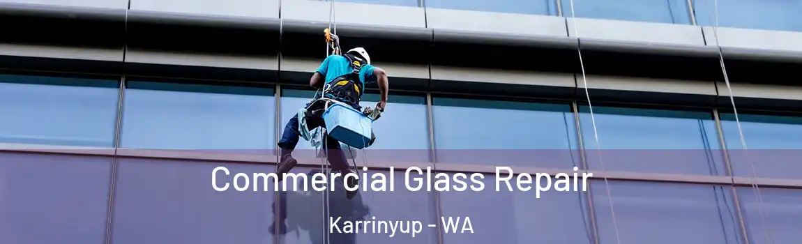 Commercial Glass Repair Karrinyup - WA