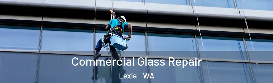 Commercial Glass Repair Lexia - WA