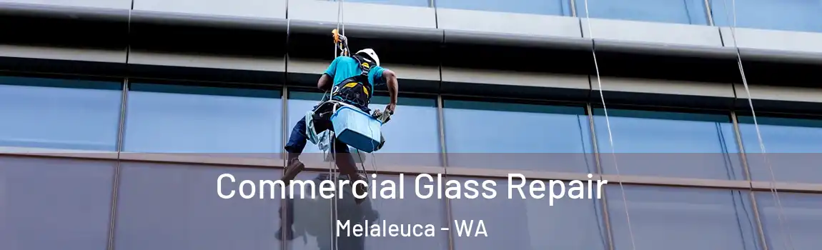Commercial Glass Repair Melaleuca - WA