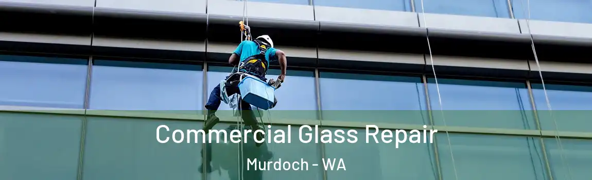 Commercial Glass Repair Murdoch - WA