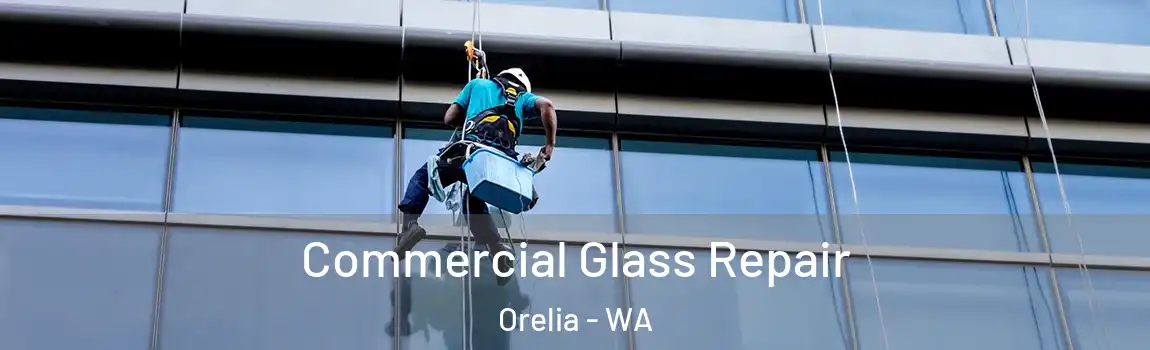 Commercial Glass Repair Orelia - WA