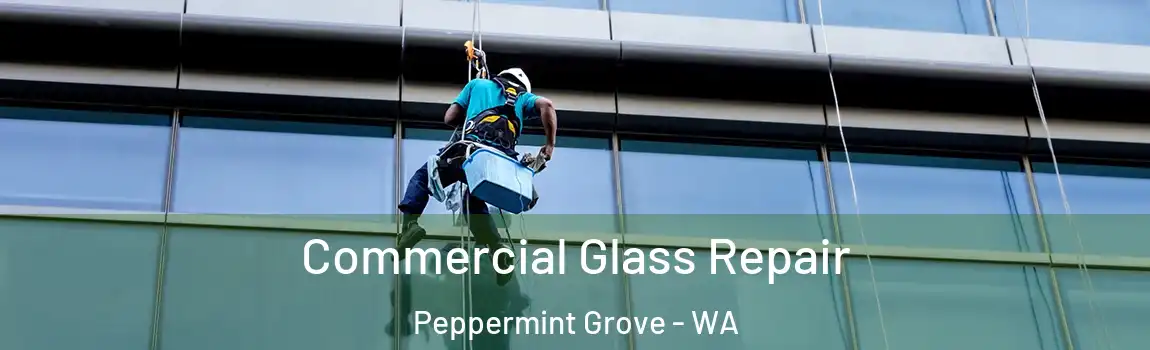 Commercial Glass Repair Peppermint Grove - WA