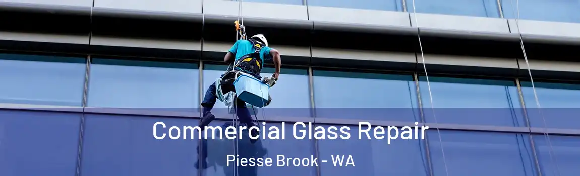 Commercial Glass Repair Piesse Brook - WA