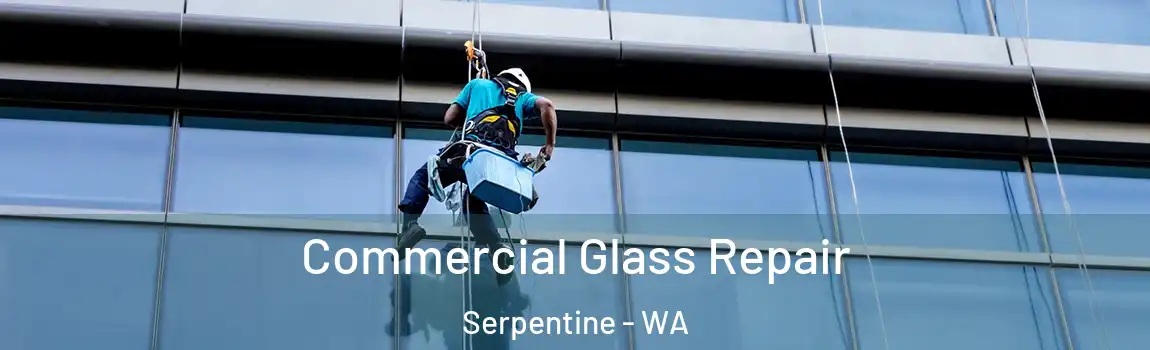 Commercial Glass Repair Serpentine - WA