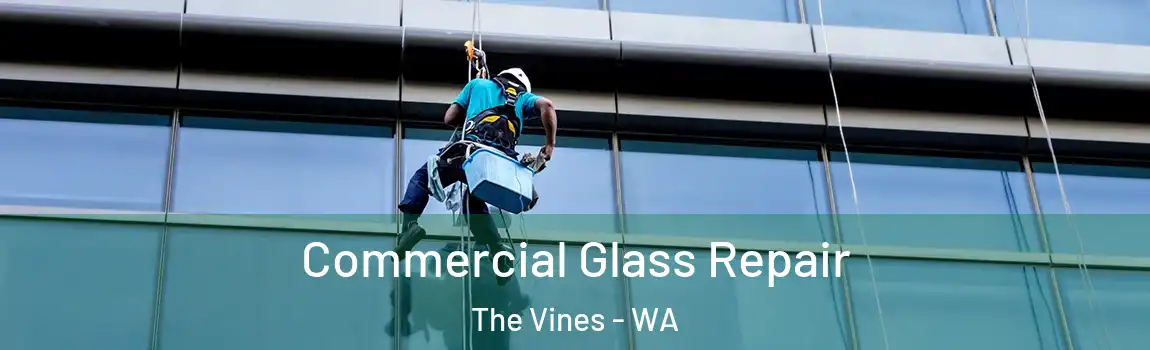 Commercial Glass Repair The Vines - WA