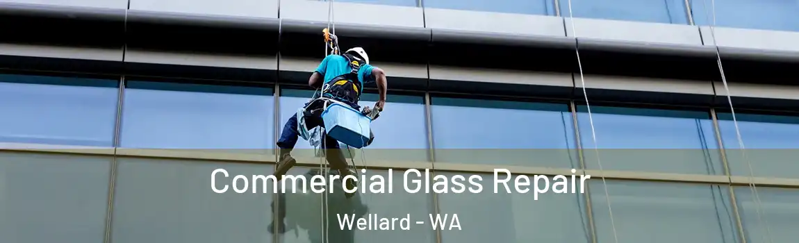 Commercial Glass Repair Wellard - WA