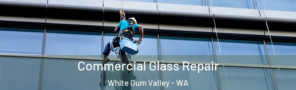Commercial Glass Repair White Gum Valley - WA