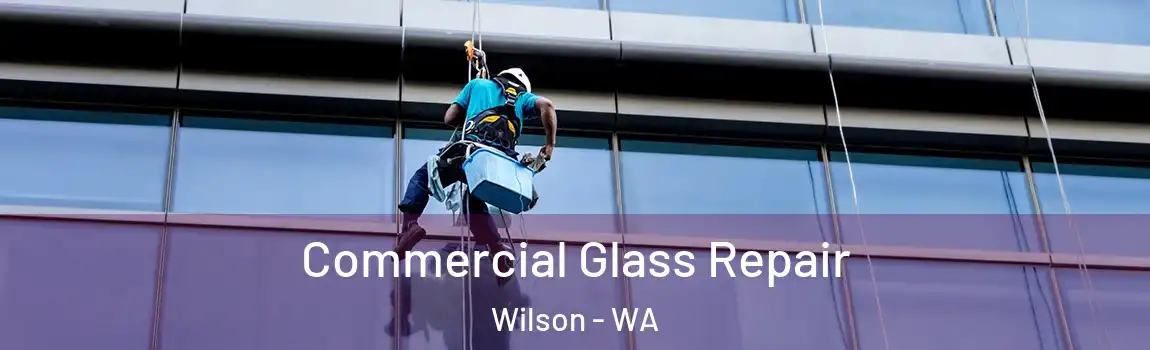 Commercial Glass Repair Wilson - WA