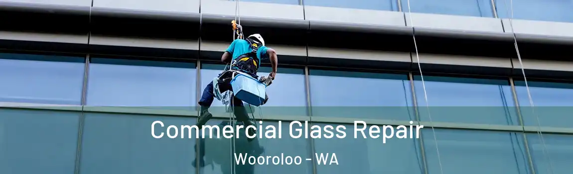Commercial Glass Repair Wooroloo - WA