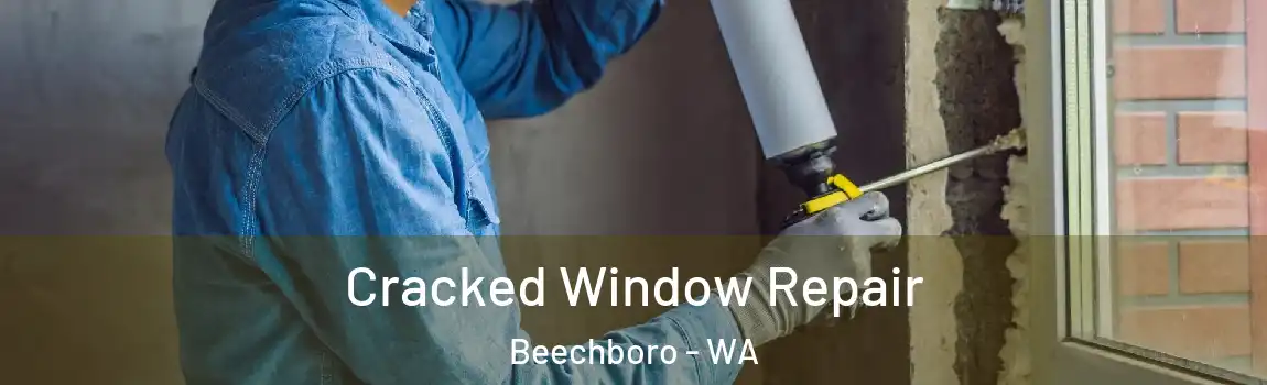 Cracked Window Repair Beechboro - WA