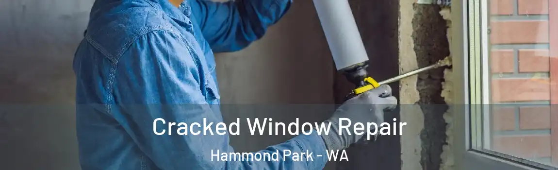 Cracked Window Repair Hammond Park - WA