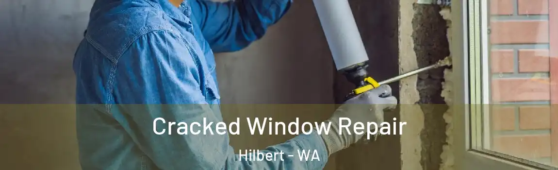 Cracked Window Repair Hilbert - WA