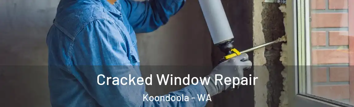 Cracked Window Repair Koondoola - WA