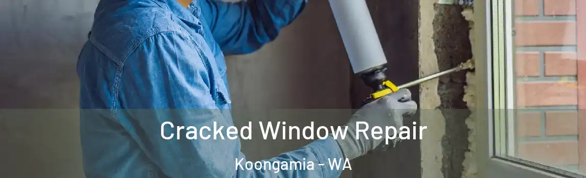 Cracked Window Repair Koongamia - WA