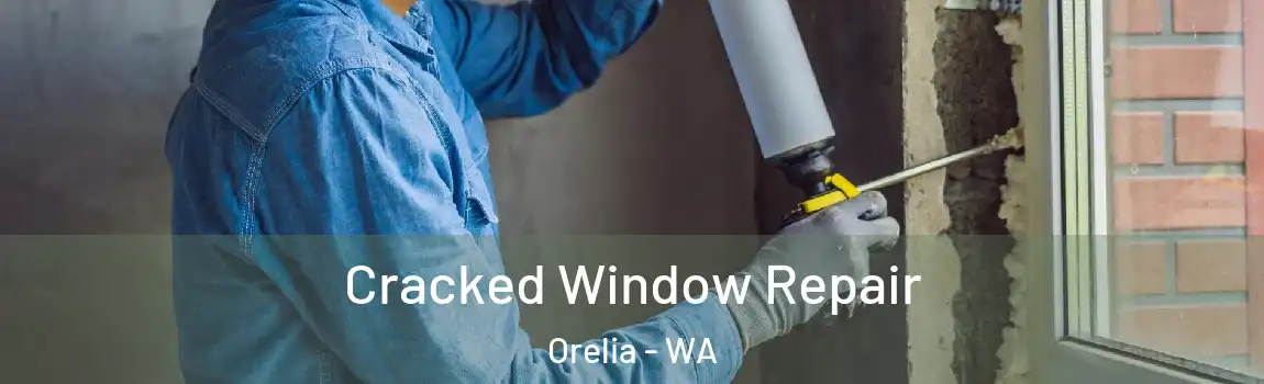  Cracked Window Repair Orelia - WA