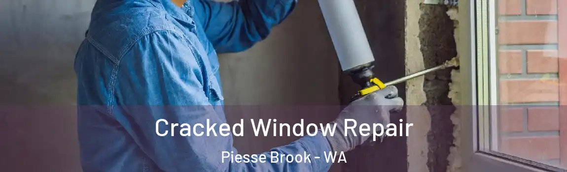 Cracked Window Repair Piesse Brook - WA
