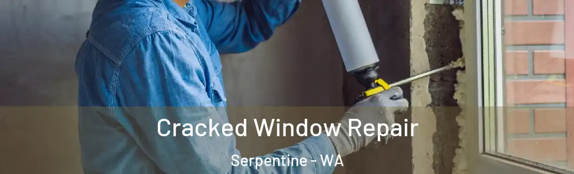 Cracked Window Repair Serpentine - WA
