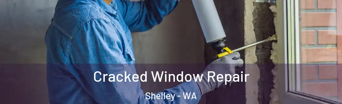  Cracked Window Repair Shelley - WA