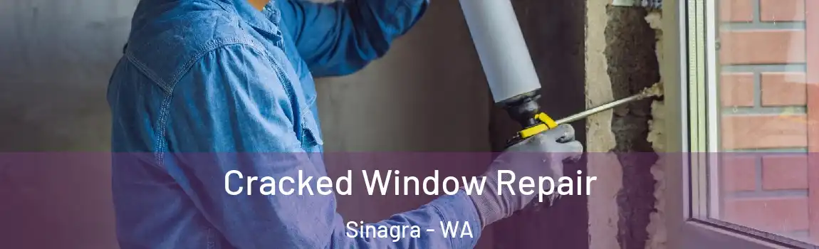 Cracked Window Repair Sinagra - WA