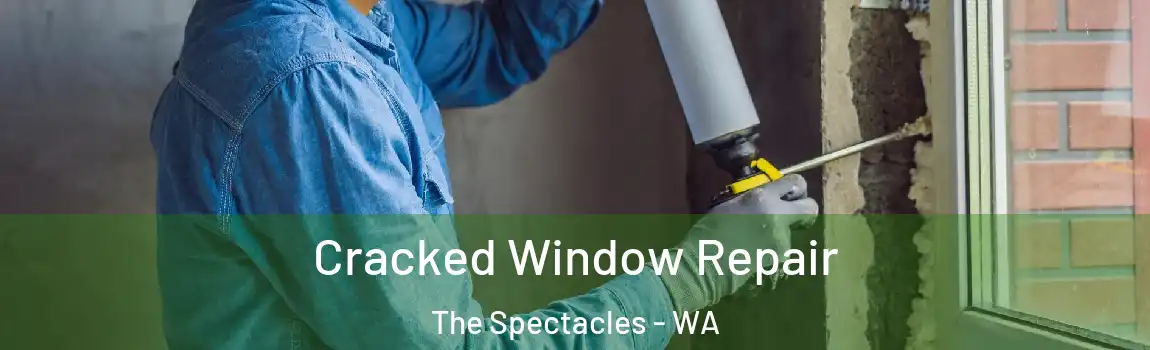 Cracked Window Repair The Spectacles - WA