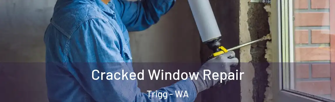Cracked Window Repair Trigg - WA