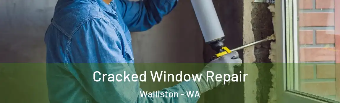 Cracked Window Repair Walliston - WA