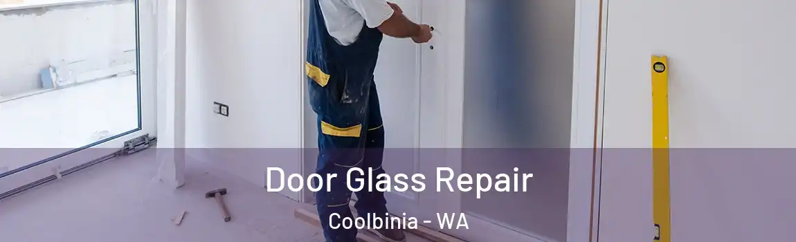 Door Glass Repair Coolbinia - WA