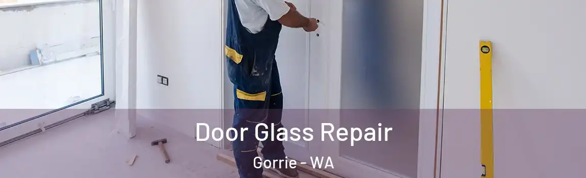 Door Glass Repair Gorrie - WA
