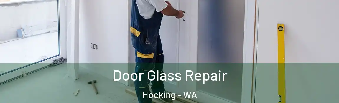 Door Glass Repair Hocking - WA
