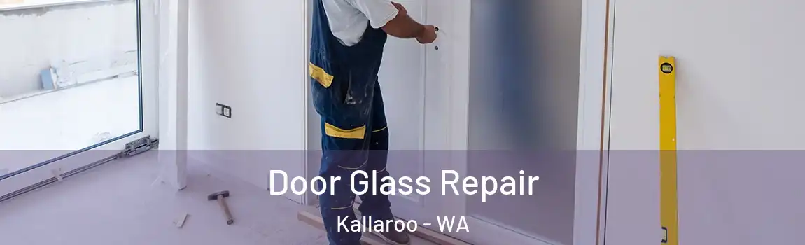 Door Glass Repair Kallaroo - WA